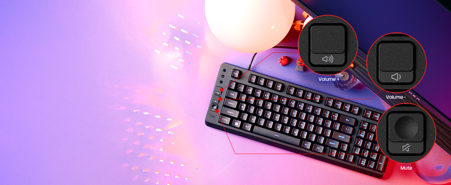 Customization with HyperX NGENUITY Software