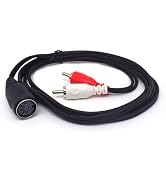 ELNONE 5 Pin Din Female to 2 RCA Male Cable,Professional 5-Pin Midi to RCA Audio Cable for Bang &...