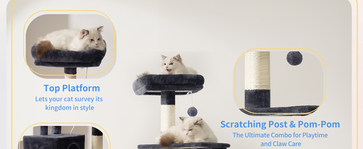 cat tree