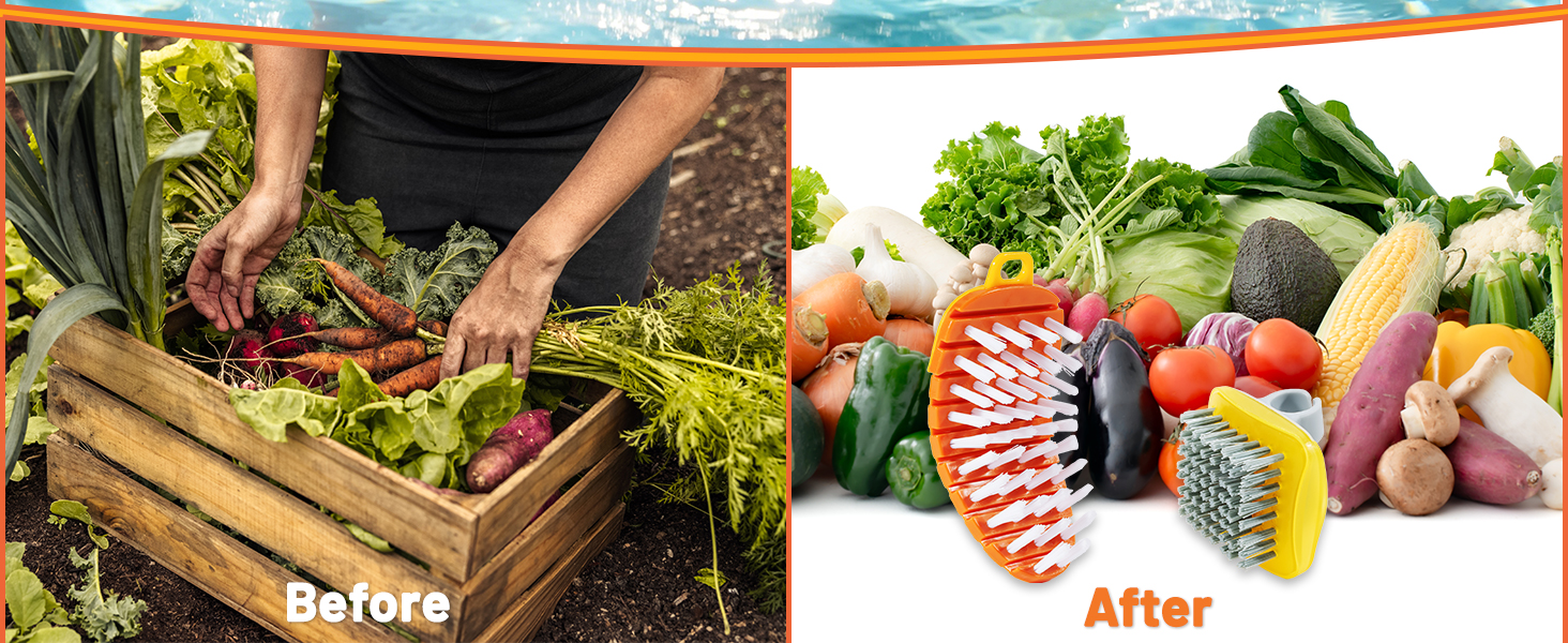 Vegetable Brush