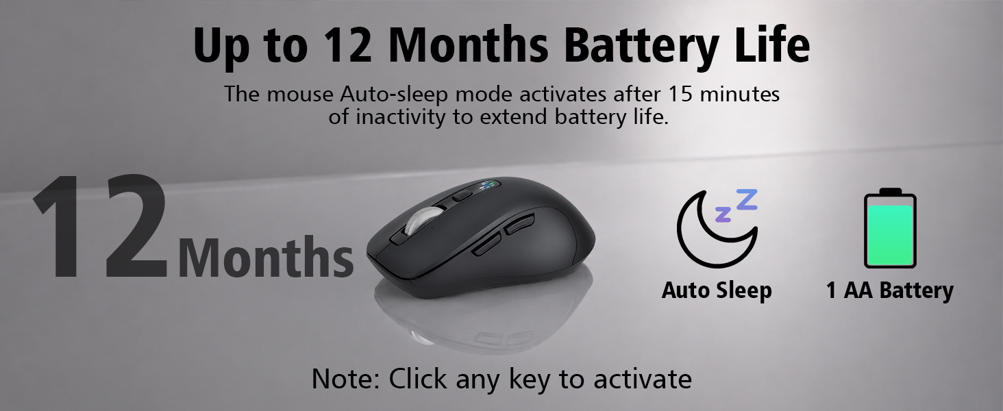computer mouse