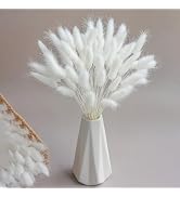 120 Sticks Dried Bunny Tail, White Bunny Tail, Natural Bulk Dried Flowers for Diy Bohemian Weddin...