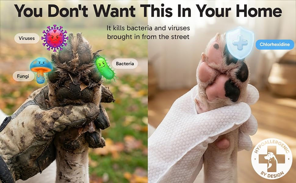 It kills bacteria and viruses brought in from the street