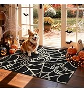 Ileading Halloween Indoor Door Mat 2x3ft, Washable Muddy Mats for Dogs, Absorbent Spider Web Entr...