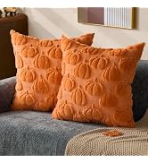 DFXSZ Fall Pillow Covers 18x18 Set of 2 Fall Decorations Orange Pumpkin Throw Pillow Cases Soft P...