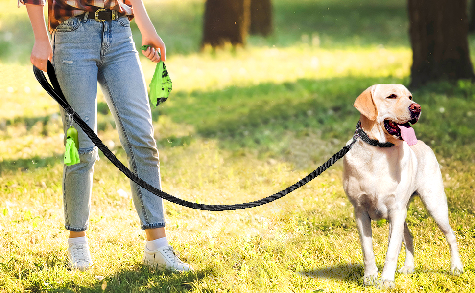dog leash
