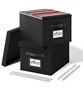 Huolewa Upgraded File Organizer Boxes Set of 2, File Boxes with Lids, Linen Hanging File Organize...
