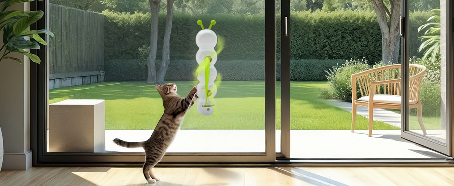 cat toy 3241