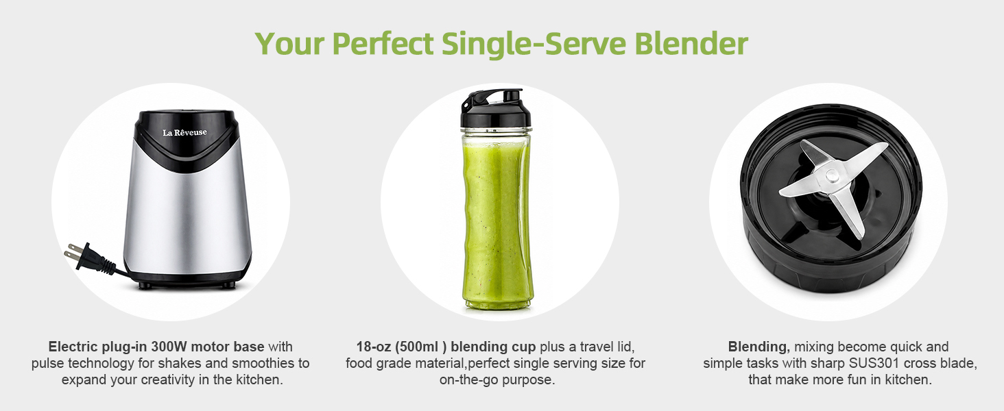 blender for shakes and smoothies