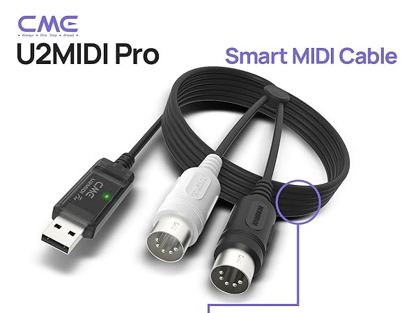 https://m.media-amazon.com/images/S/aplus-media-library-service-media/6ac2b815-909d-4e87-a220-ace1be9fa3f5.__CR0,0,1200,900_PT0_SX600_V1___.jpg