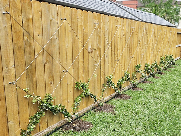 plant wire for climbing plants