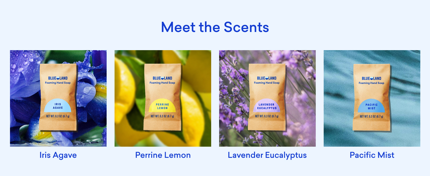 Meet the Scents