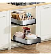 Ewaiira Pull Out Cabinet Organizer 12.6" Wx16.5 D, Heavy Duty Slide Out Pantry Shelves, Stainless...
