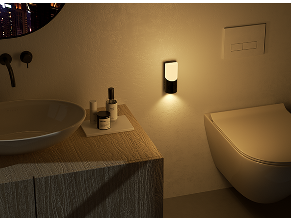 Toilet night light