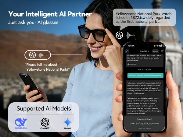 AI Assistant