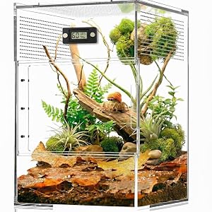 Magnetic Jumping Spider Enclosure Thermometer and Humidity Gauge Temperature and Humidity Monitor