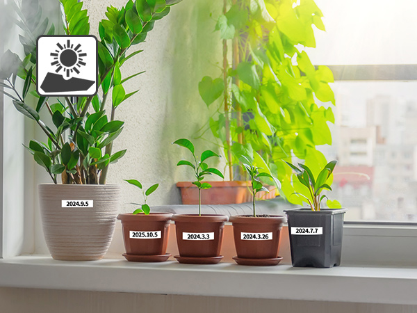 label maker refills