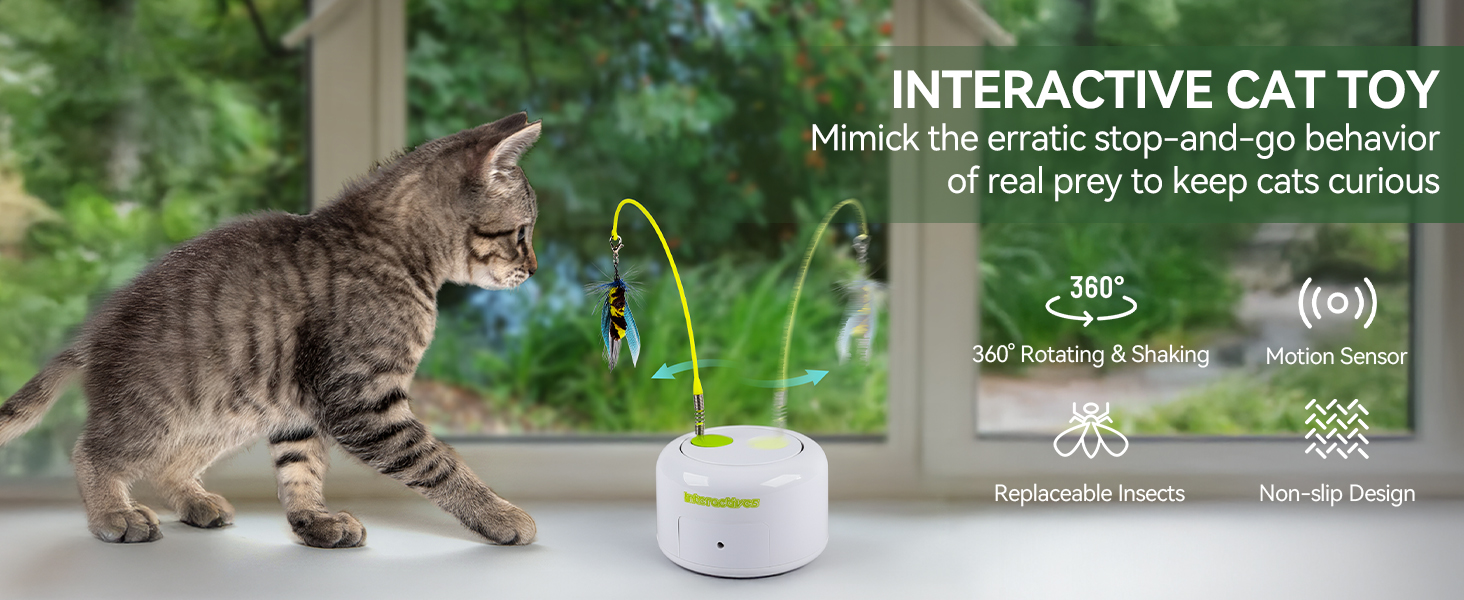 3243 CAT TOY