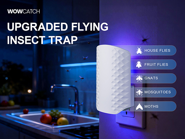 fly trap indoor