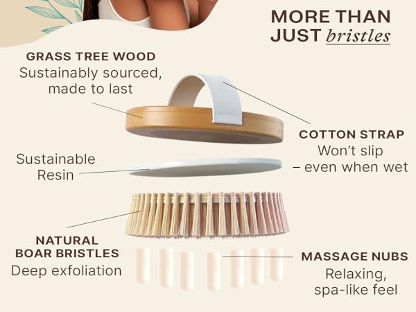 dry brushing body brush lymphatic drainage showering skin bath scrub shower natural cellulite