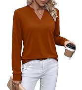 WIHOLL V Neck Business Casual Tops Fall Trendy Long Sleeve Shirts S-2XL | V Neck,Work Tops,Profes...