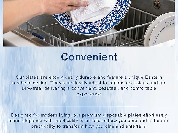 Blue and White Plastic Plates