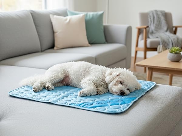 dog sleeping cooling mat sofa living