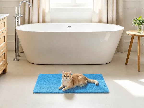 blue shower mat