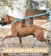 slip lead dog leash