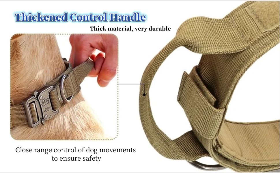 dog collar