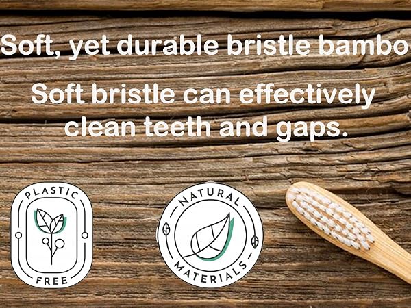 bamboo toothbrush