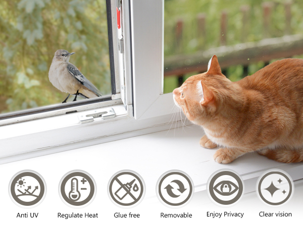 privacy glass tint