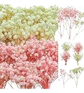 100Pcs Mini Dried Babys Breath Flowers Pink & White, 5600+ Baby's Breath Bulk Bouquet, Natural Dr...