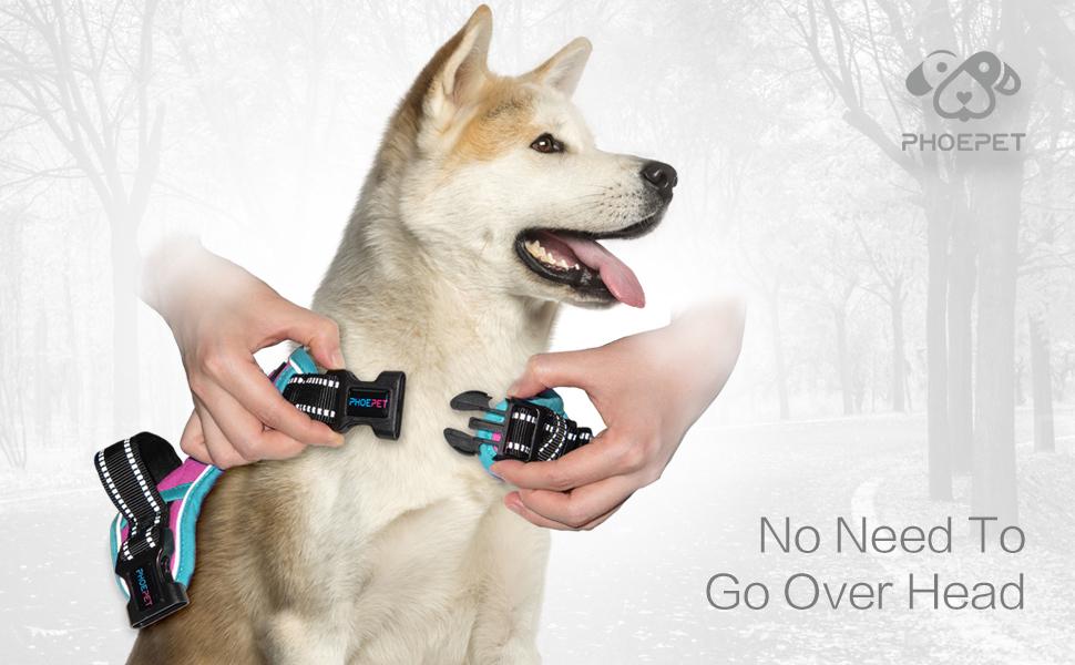 2019 dog harness