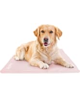The Green Pet Shop Dog Cooling Mat Cover, Large - Protect Your Gel Cooling Mat for Dogs from Dirt...