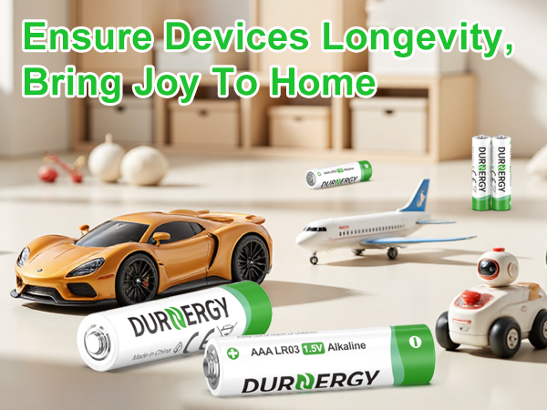 AAA Batteries for Home Devices