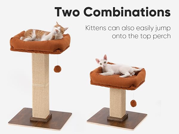 large cat post