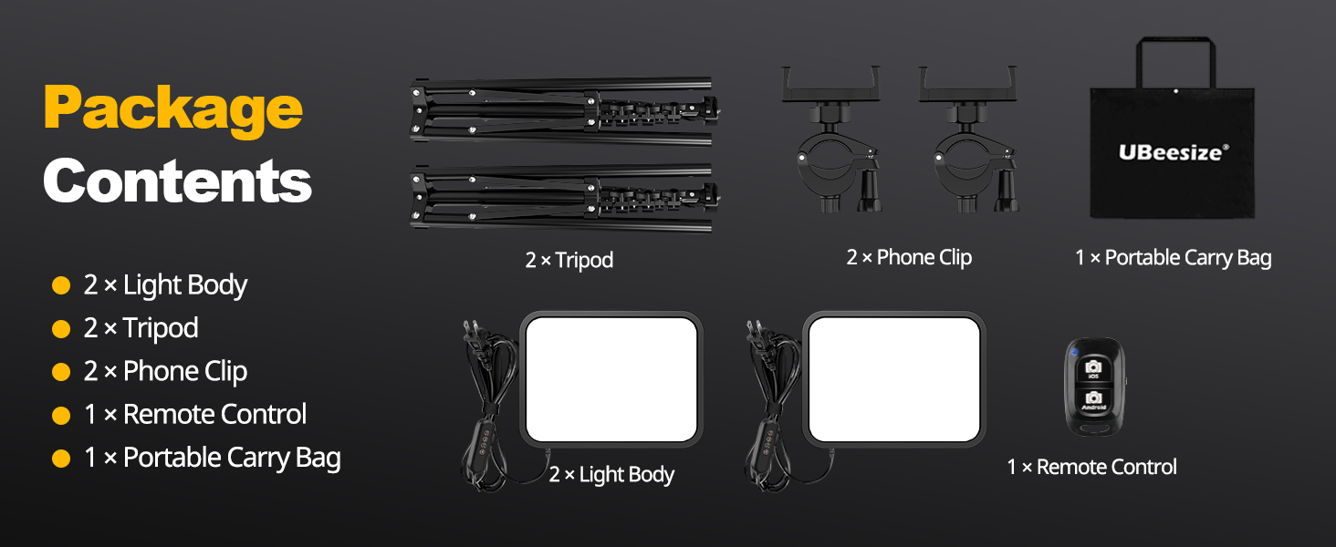 picture light