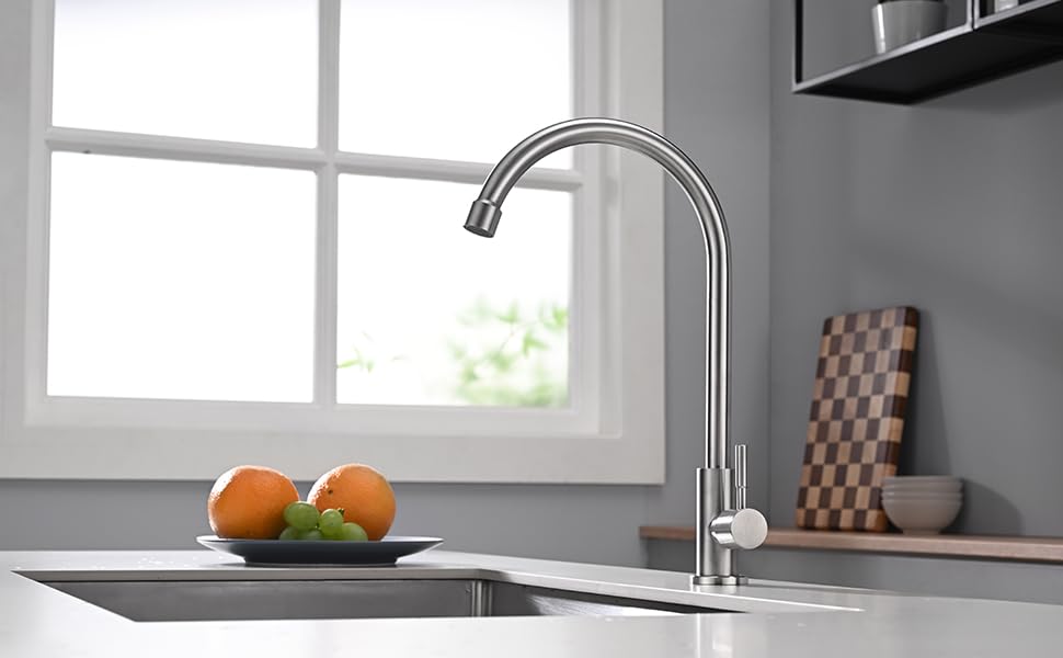 Apaix Cold Only Bar Sink Faucet