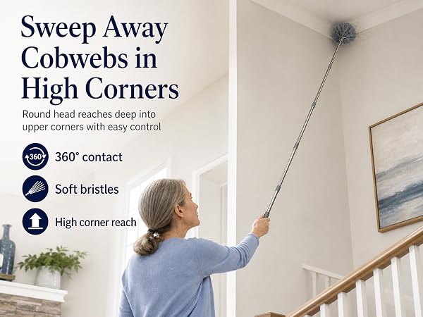 Spider Web Brush