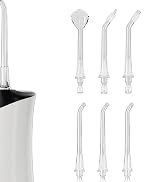Water Dental Flosser Pick for Teeth, Portable Cordless Oral Irrigator with 4 Pressure Modes, 300M...