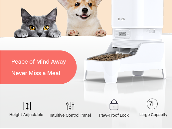 automatic cat feeder