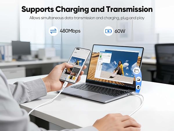 10 foot usb c cable