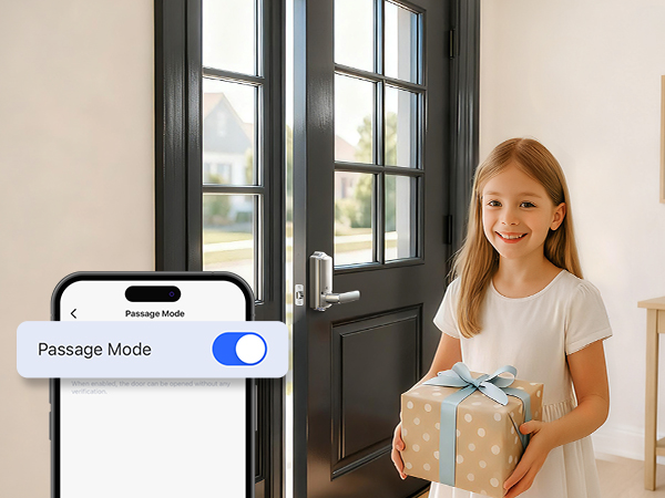 keypad door lock with handle