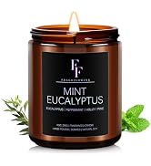 Mint Eucalyptus Scented Candle for Home Soy Wax Candle, Aromatherapy Candle Gift for Women Men, 7oz