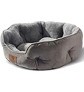 Asvin Medium Dog Bed for Medium Dogs, Cat Beds for Indoor Cats, Pet Bed for Puppy and Kitty, Extr...