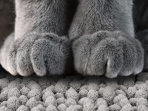 cat litter mat box trapping for matt kitty xl large supplies indoor cats things litterbox catcher