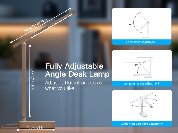 LED Desk Lamp