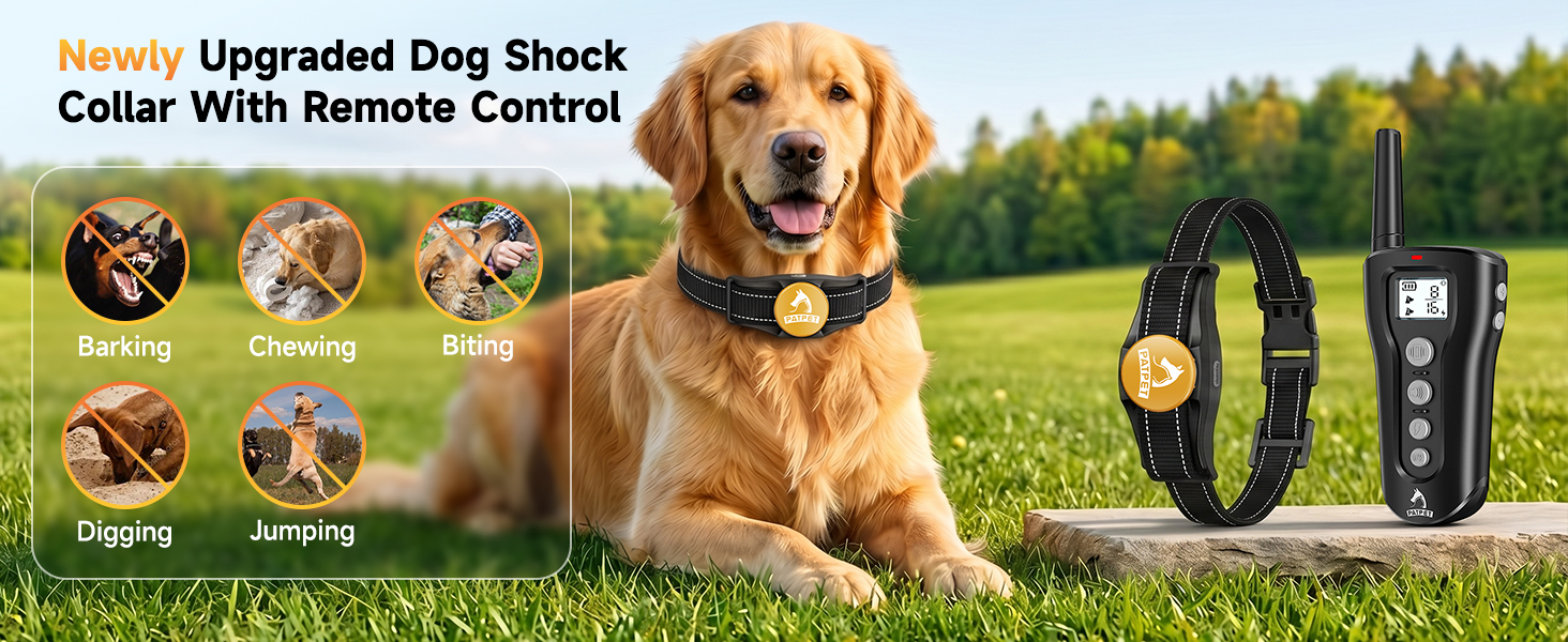 shock collar