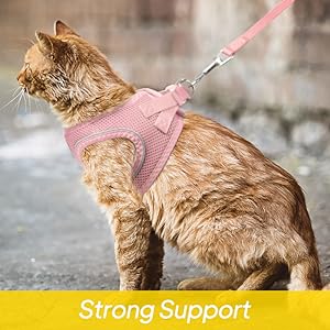 support